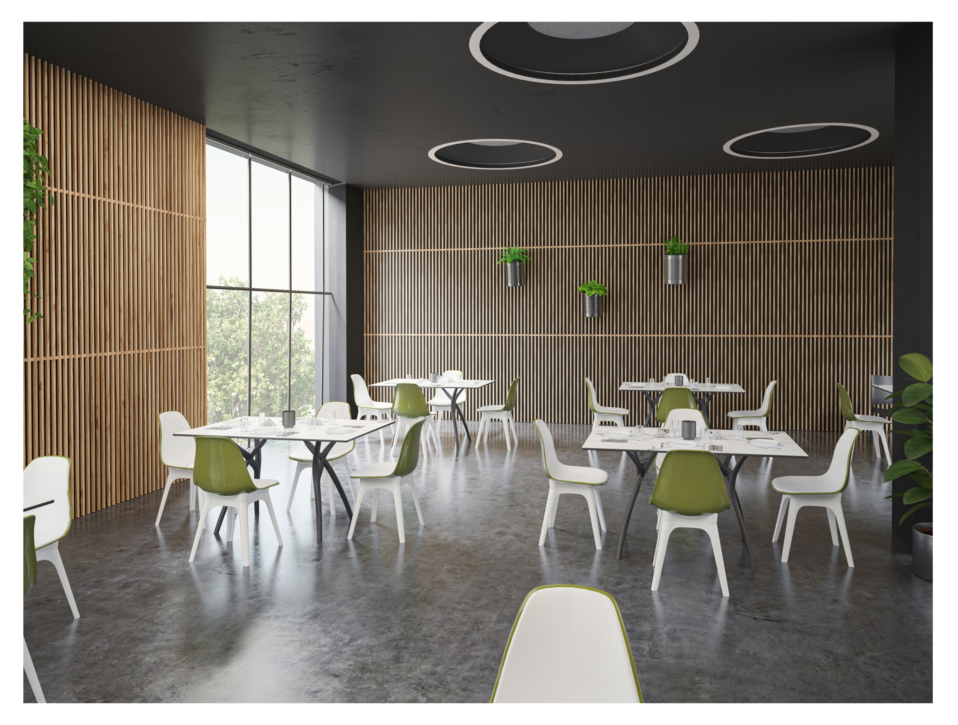 Galerie imagini